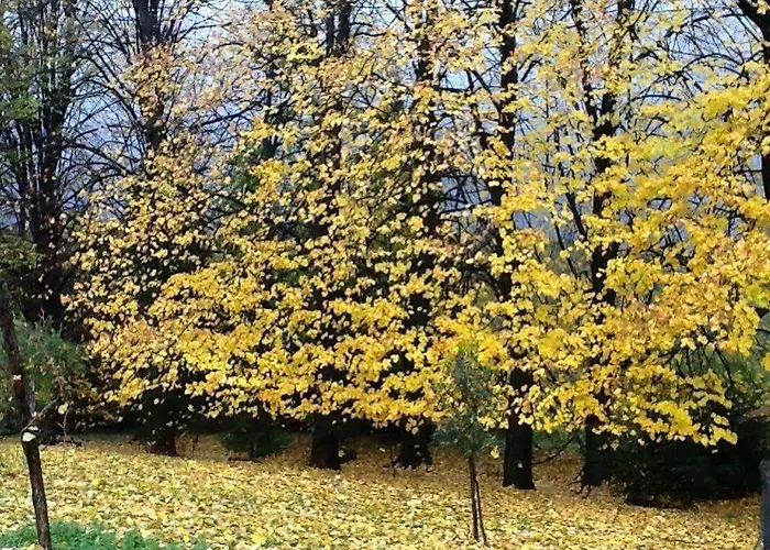 Agriturismo La Giassara * Fara Vicentino